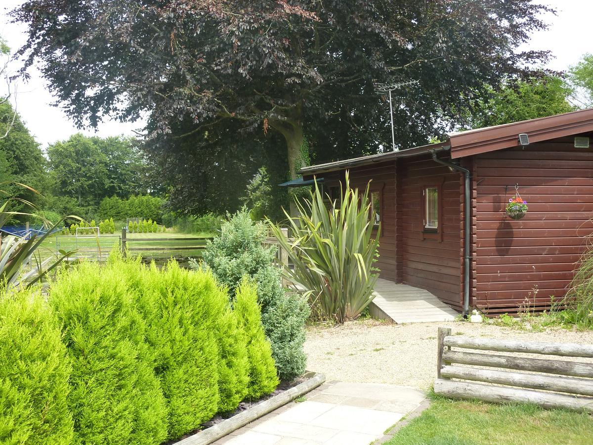 Cypress Log Cabins Accommodation Godshill  Exteriér fotografie